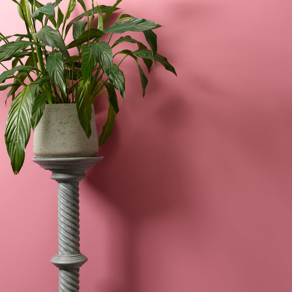 Macaroon on upea vaaleanpunainen maaliväri Frenchic sarjasta.