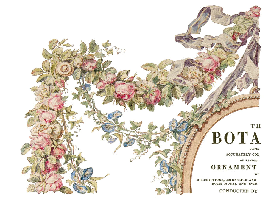 Creeper - The Botanist - transfer print