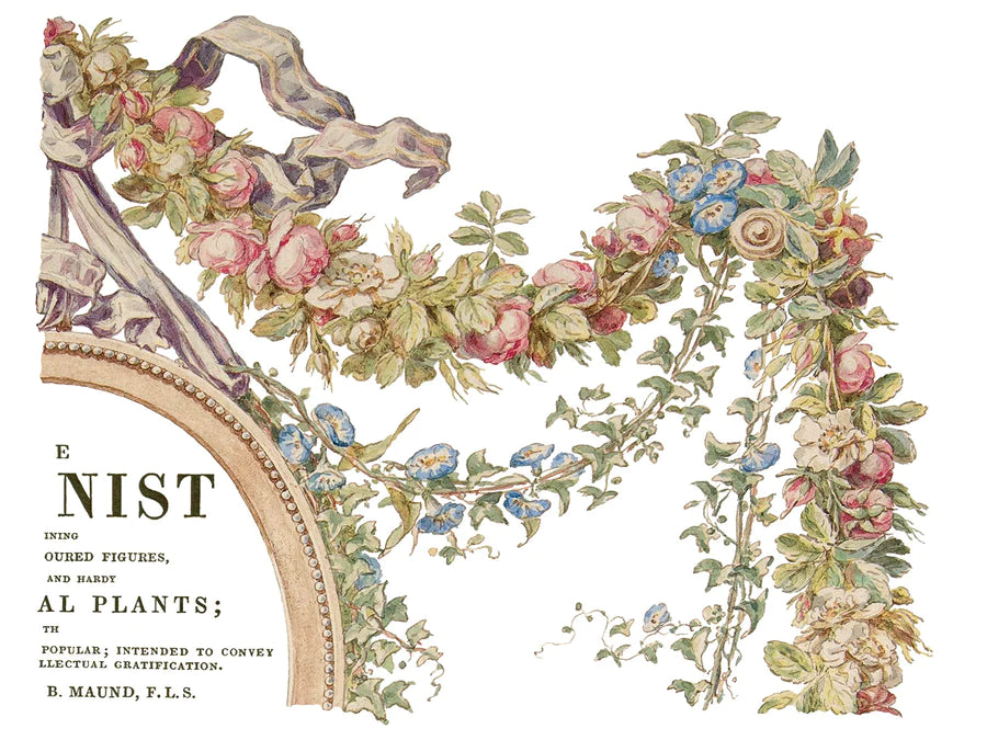 Creeper - The Botanist - transfer print