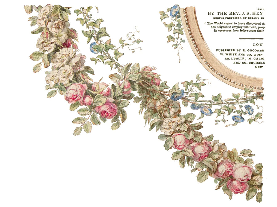 Creeper - The Botanist - transfer print