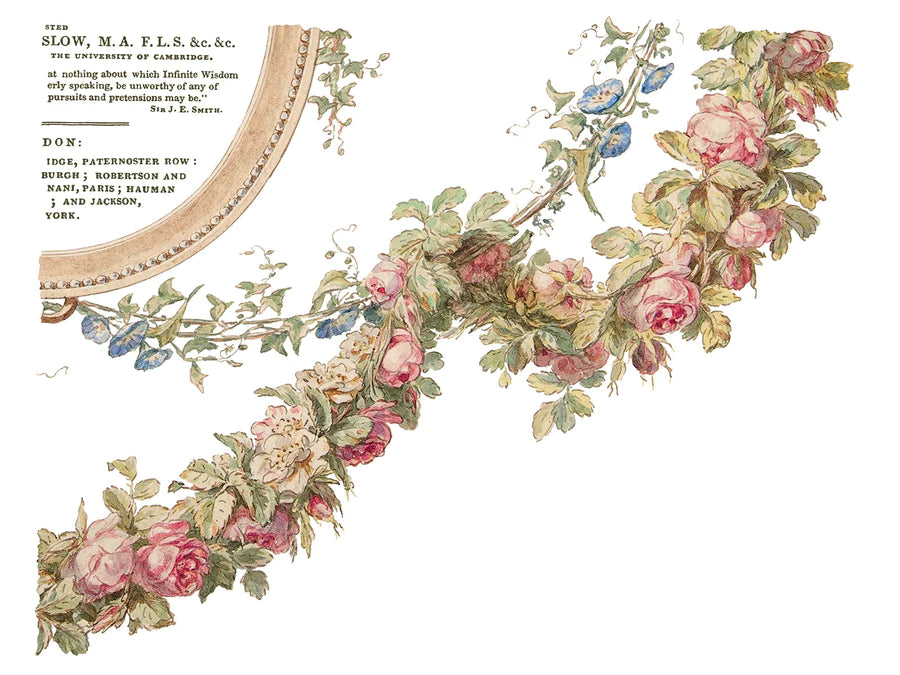 Creeper - The Botanist - transfer print