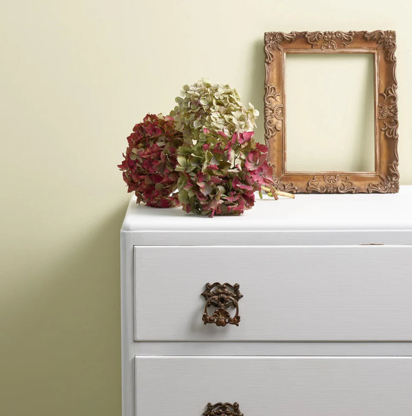 Puhdas valkoinen kalustemaali Al Fresco sarjasta, Dazzle Me!