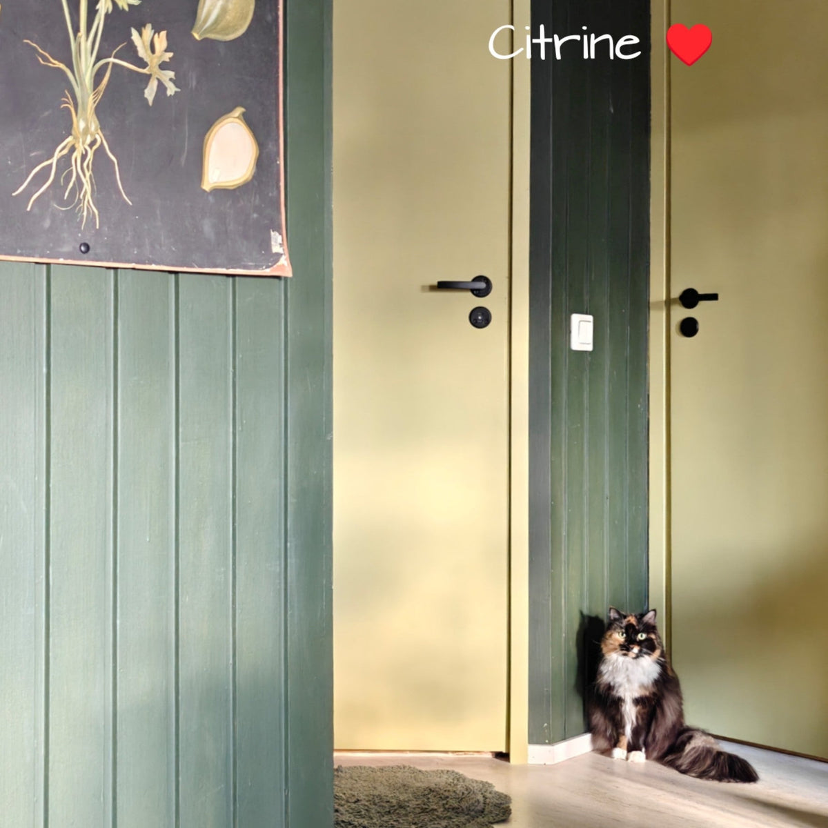 lime-citrine-kalustemaali-frenchic-