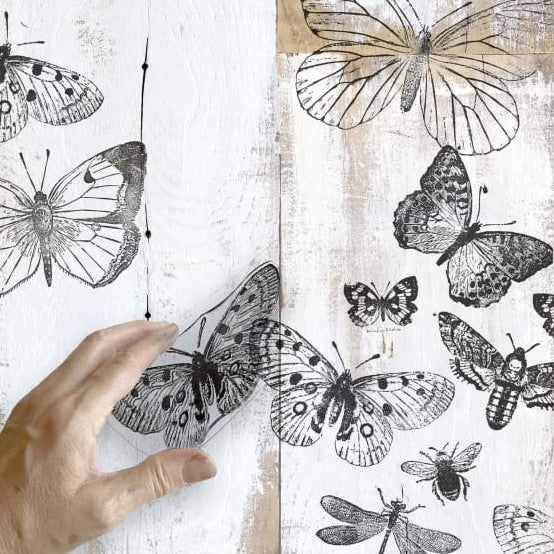 Butterflies_leimasimet_Frenchic_13