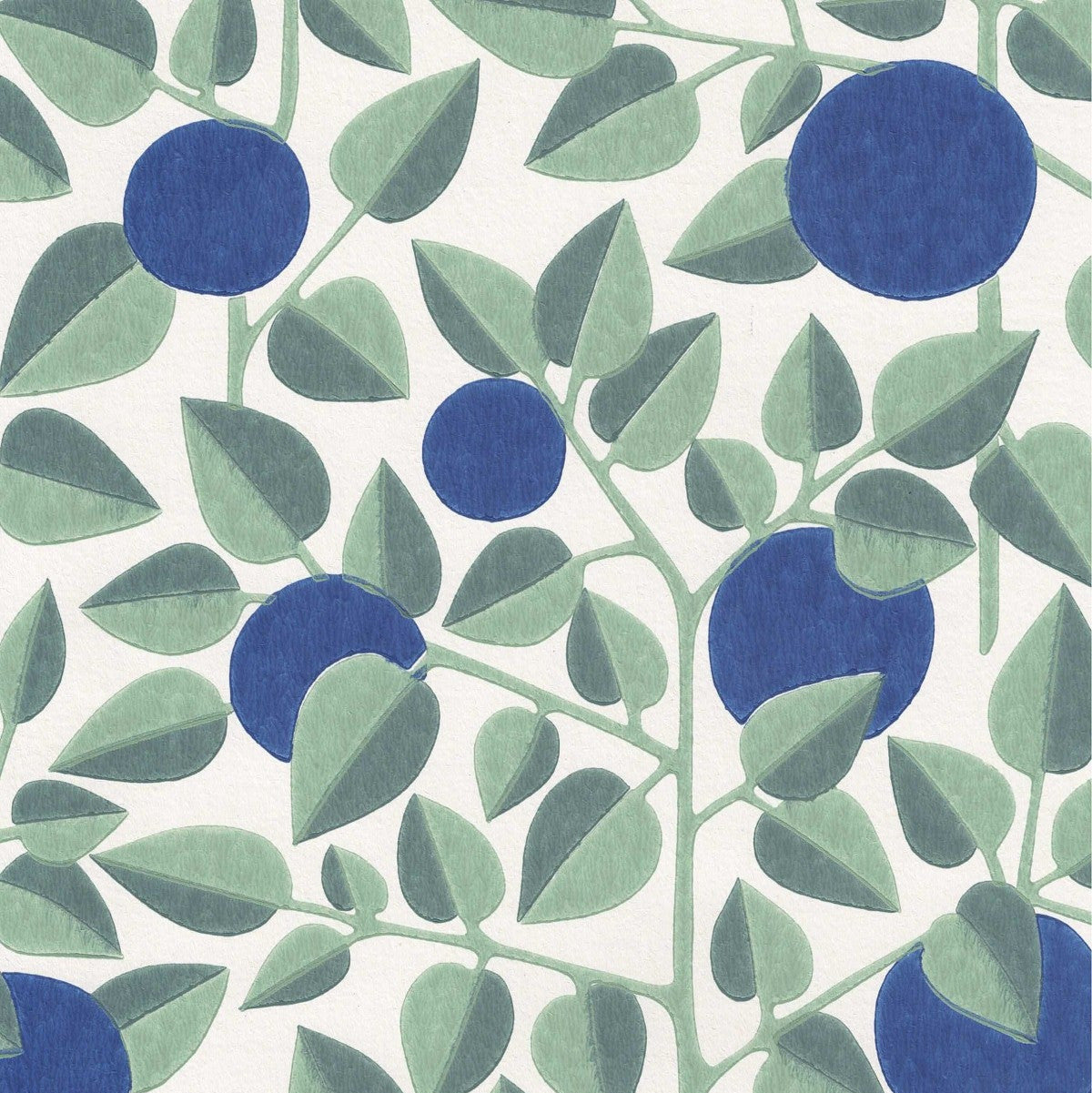 sininen tapetti mustikka. 