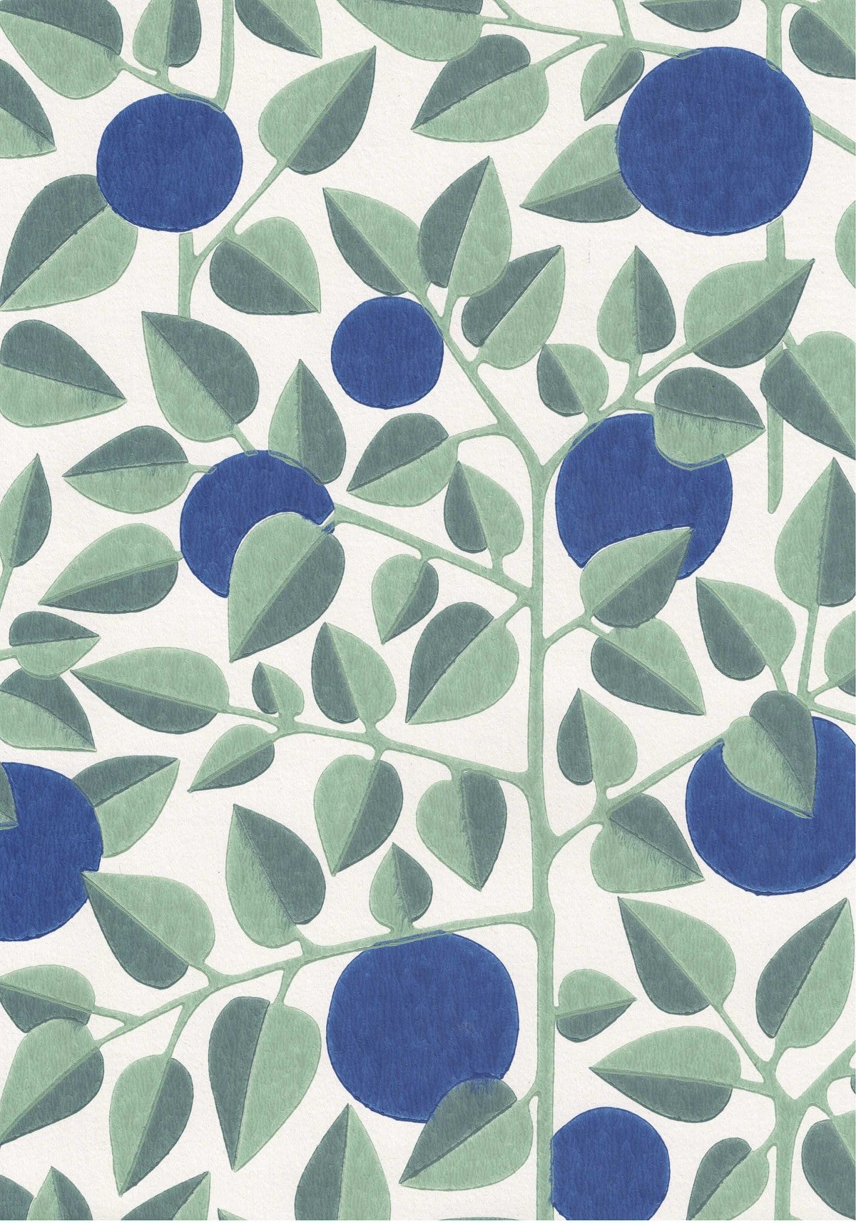 sininen tapetti mustikka. 