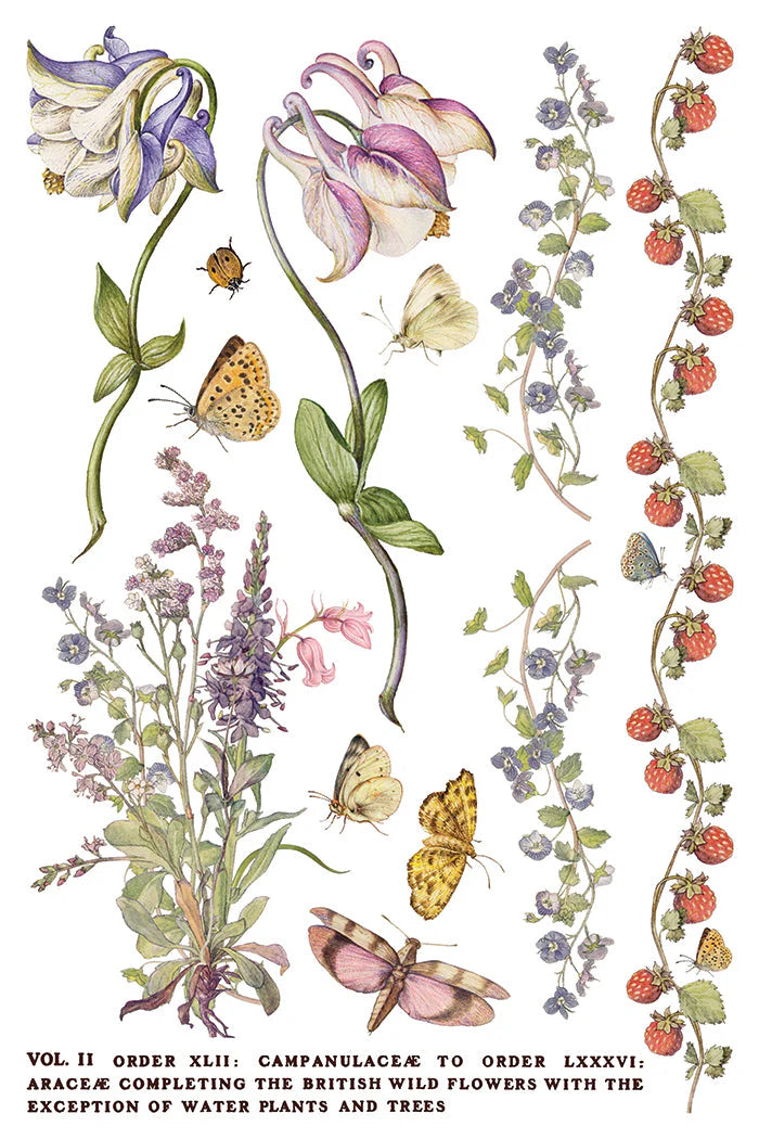 Primrose Isle siirtokuva - 8 arkkia-Siirtokuva-Frenchic Paint Finland