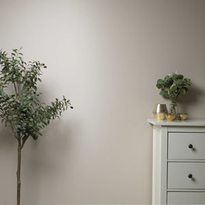 Stone Rosie on kaunis beige maalisävy Frenchic sarjasta. 