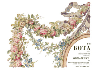 Köynnös - The Botanist -siirtokuva - Siirtokuva - Frenchic Paint Finland