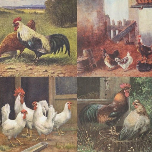 Kukko ja kanat - yksittäiset decoupage taidearkit Frenchic.