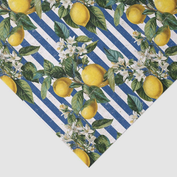 Sitruuna ja sinivalkoraidat - yksittäiset decoupage taidearkit