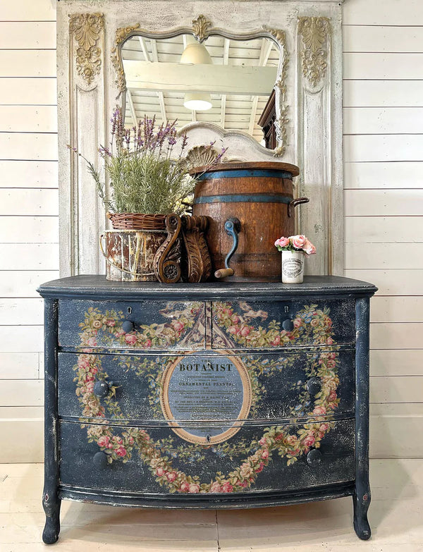 Köynnös - The Botanist -siirtokuva - Siirtokuva - Frenchic Paint Finland