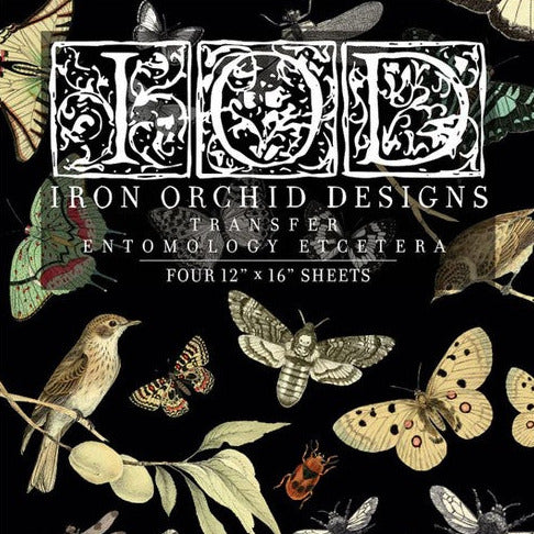 Hyönteiset - siirtokuva.