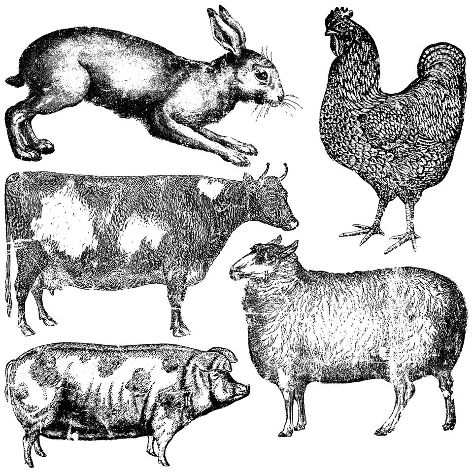Farm Animals - Stamp