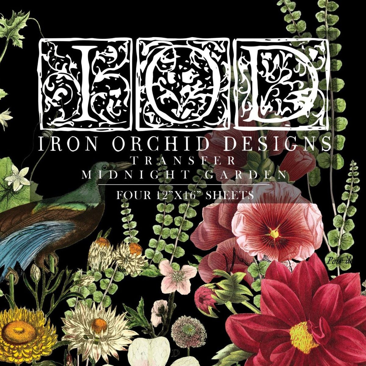 Peacock - Midnight Garden överföringsbild