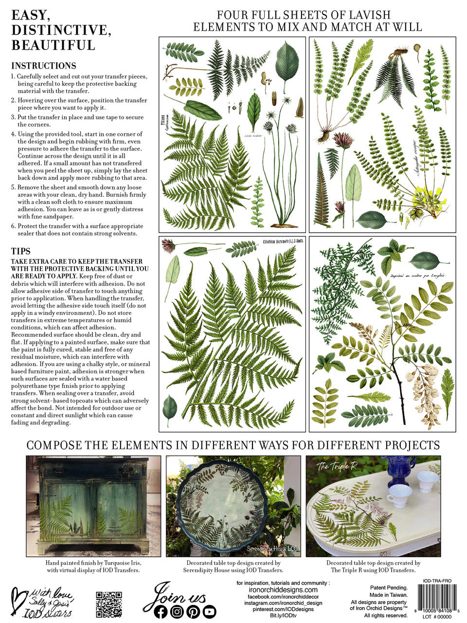 Ferns - Fronds Botanical transfer image