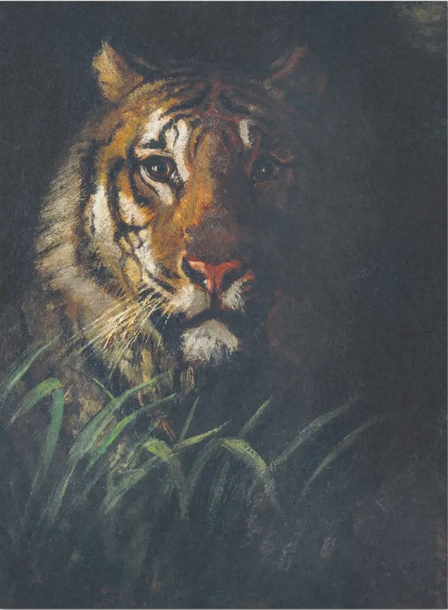Tiger - individual sheets