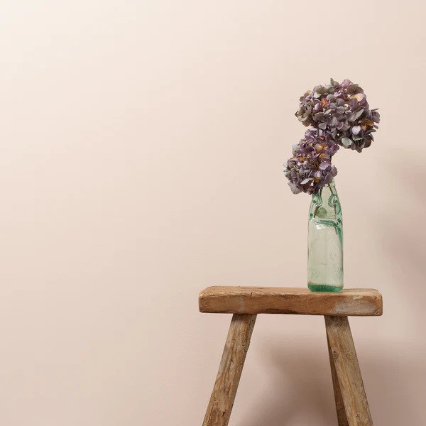 Testivoittaja vaaleanpunainen seinämaali Frenchic. 