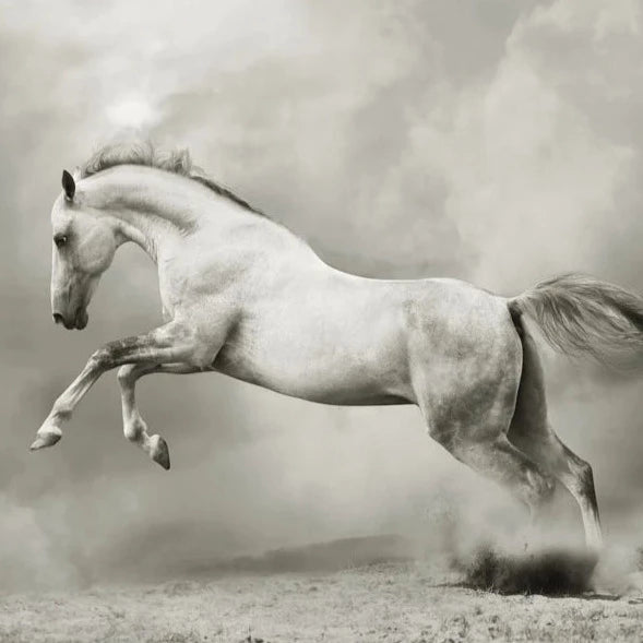 Valkoinen hevonen Mint By Michelle degoupage arkit Frenchic Finland. 
