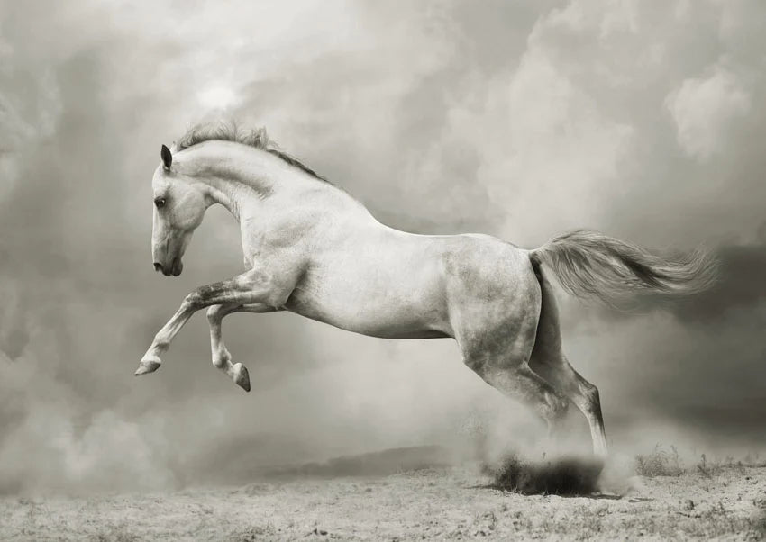 Valkea hevonen - Mint By Michelle
