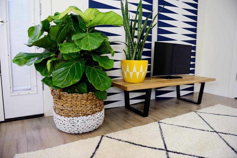 frogtape_maalaus_rajaus_teippaus_frenchic_