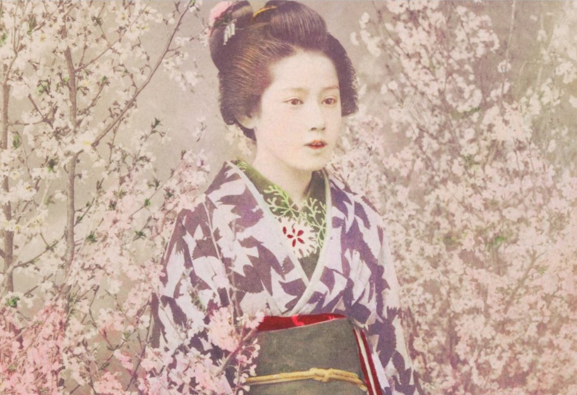 Geisha och körsbärsblommor - enstaka ark